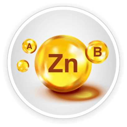 Quietum Plus  Ingredients 